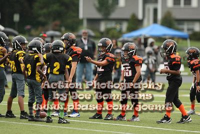 IMG_3131.jpg