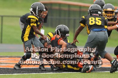 IMG_3194.jpg