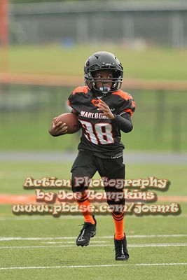 IMG_3230.jpg