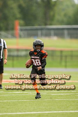 IMG_3231.jpg