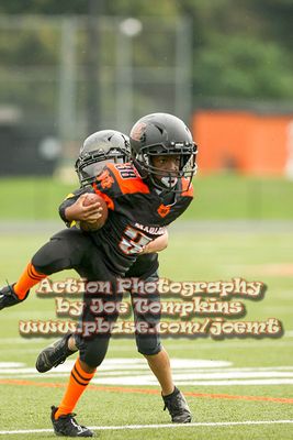 IMG_3236.jpg