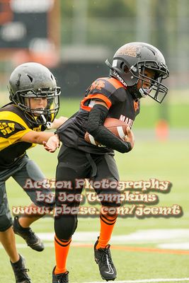 IMG_3239.jpg