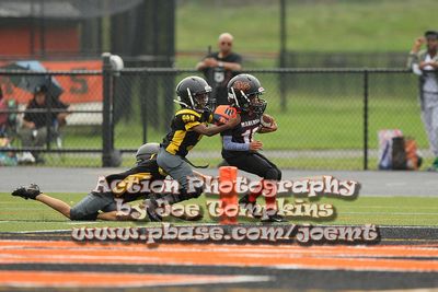 IMG_3262.jpg