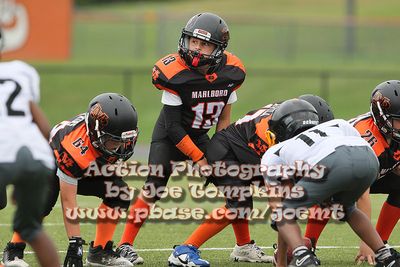 IMG_3325.jpg