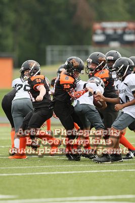 IMG_3361.jpg