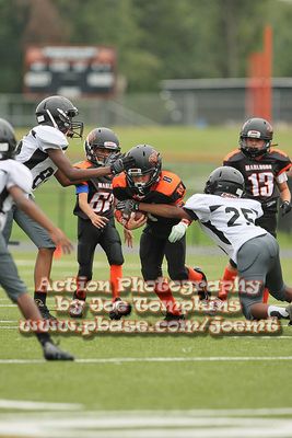 IMG_3383.jpg
