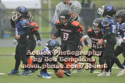 IMG_3458.jpg