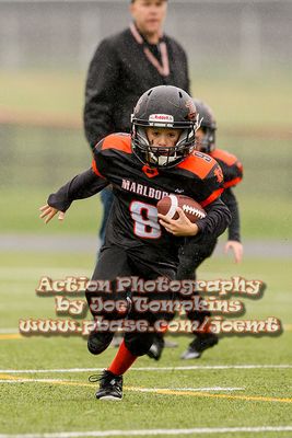 IMG_3547.jpg