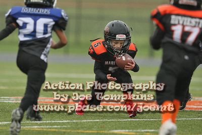IMG_3573.jpg