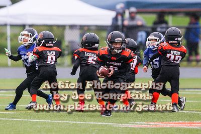 IMG_3641.jpg