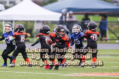 IMG_3642.jpg