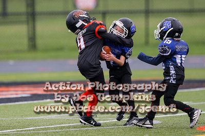 IMG_3667.jpg