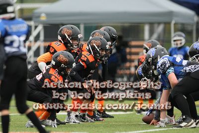 IMG_3696.jpg
