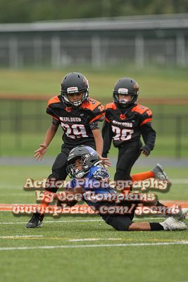 IMG_3703.jpg