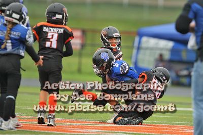 IMG_3707.jpg