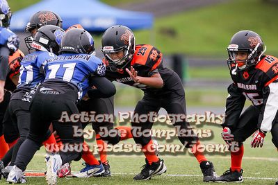 IMG_3714.jpg