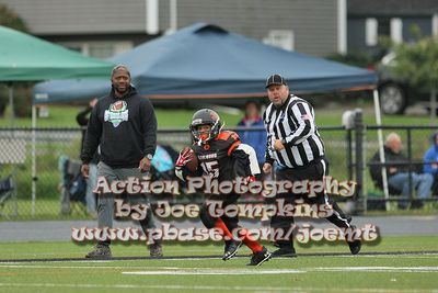 IMG_3722.jpg