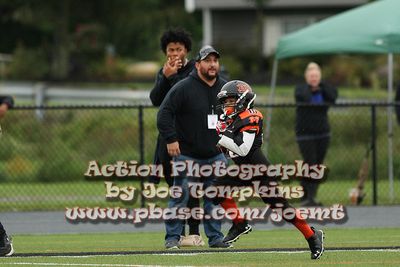 IMG_3729.jpg