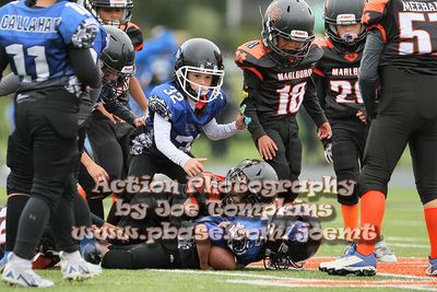 IMG_3751.jpg