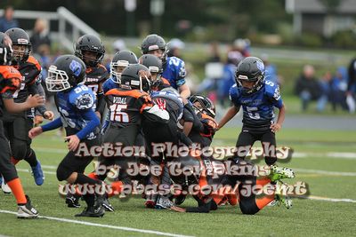 IMG_3795.jpg
