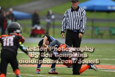 IMG_3798.jpg