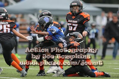 IMG_3826.jpg