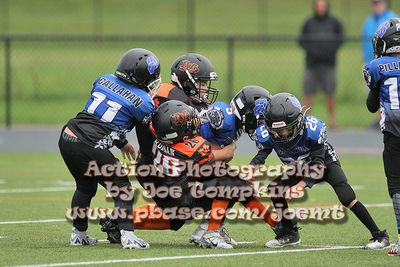 IMG_3834.jpg