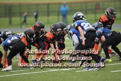 IMG_3871.jpg