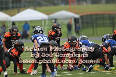 IMG_3874.jpg
