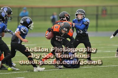 IMG_3876.jpg