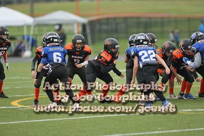 IMG_3883.jpg