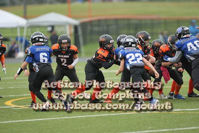 IMG_3884.jpg
