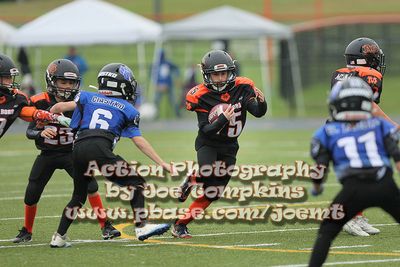IMG_3885.jpg
