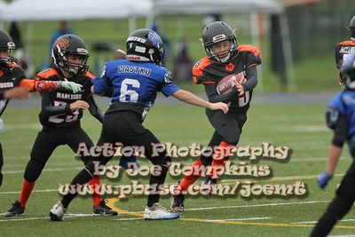 IMG_3886.jpg