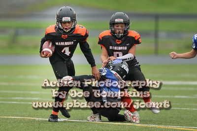 IMG_3926.jpg
