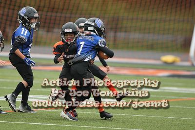 IMG_3945.jpg