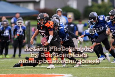 IMG_3972.jpg
