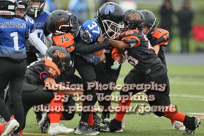 IMG_4040.jpg