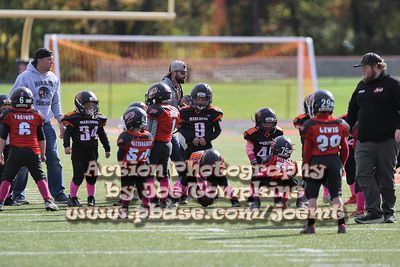 IMG_4245.jpg