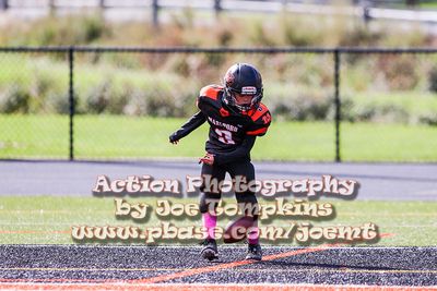 IMG_4267.jpg