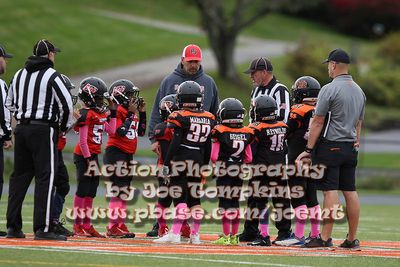 IMG_4329.jpg