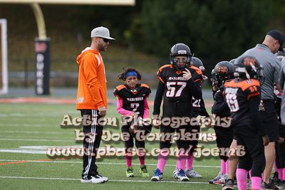 IMG_4343.jpg