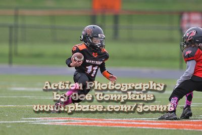 IMG_4362.jpg