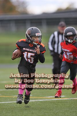 IMG_4381.jpg