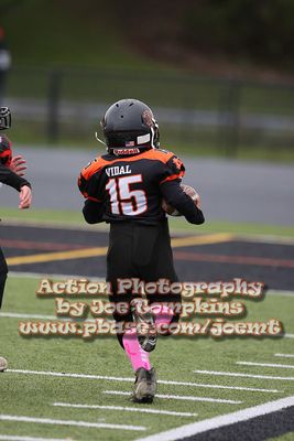 IMG_4383.jpg