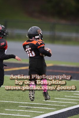IMG_4384.jpg