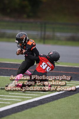 IMG_4388.jpg