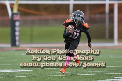 IMG_4455.jpg