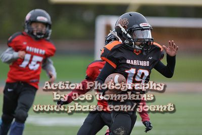 IMG_4468.jpg