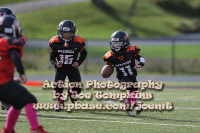 IMG_4525.jpg
